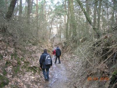 Kazimierz Dolny 2010