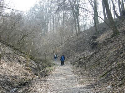 Szlakiem Dworów i Pałaców Ziemi Lubelskiej