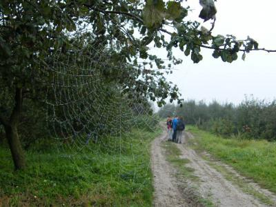 Szlakiem Dworów i Pałaców Ziemi Lubelskiej