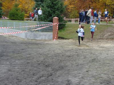 SZTAFETOWE BIEGI PRZEŁAJOWE DZIEWCZĄT 2013/14 r. w TOMASZOWIE LUBELSKIM