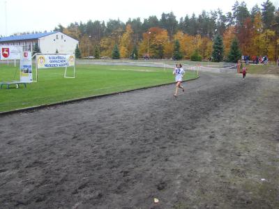 SZTAFETOWE BIEGI PRZEŁAJOWE DZIEWCZĄT 2013/14 r. w TOMASZOWIE LUBELSKIM